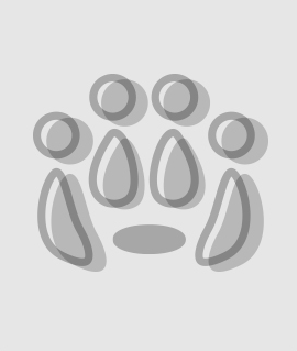 Group Mental Health Therapy